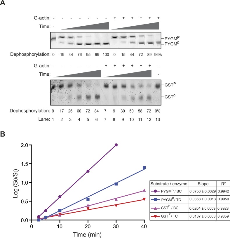 Figure 4—figure supplement 3.