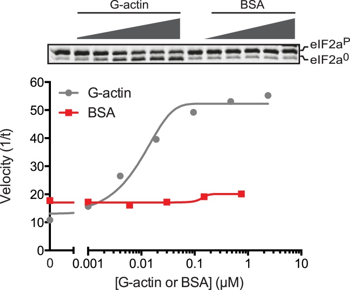 Figure 5—figure supplement 1.