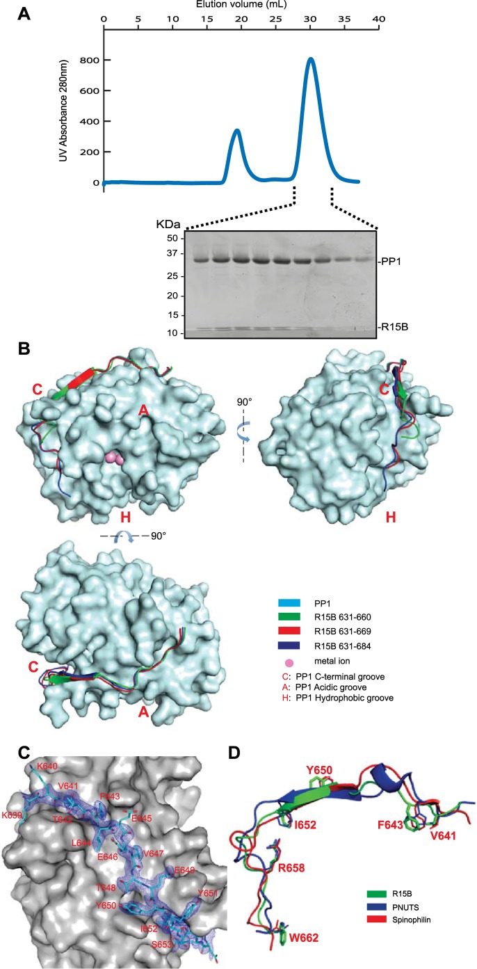 Figure 2.