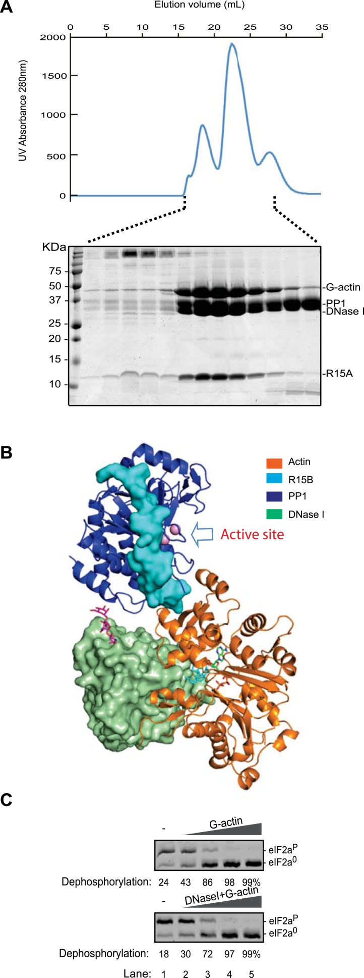 Figure 7—figure supplement 2.