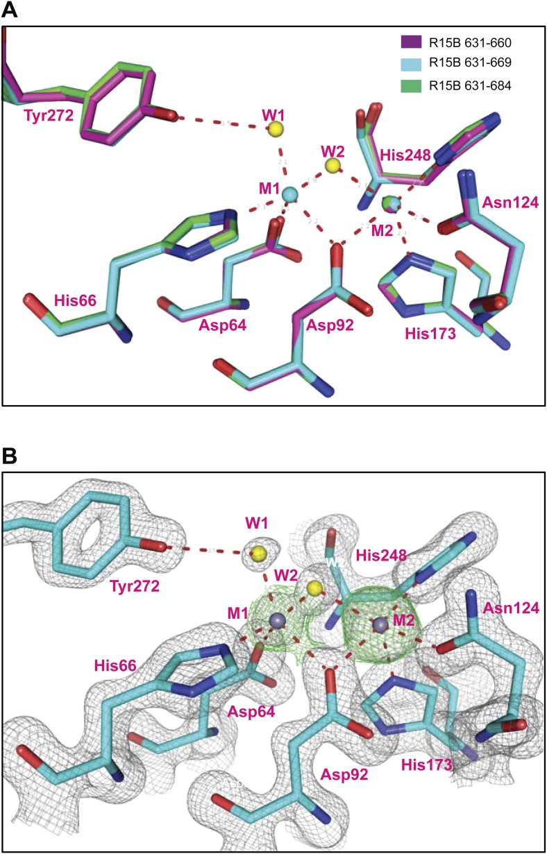 Figure 2—figure supplement 1.