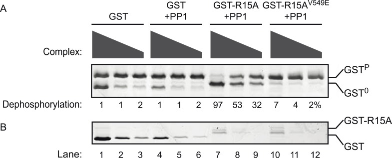 Figure 3—figure supplement 2.