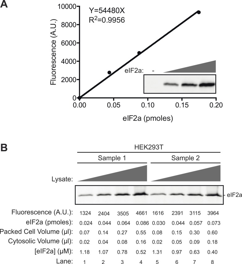 Figure 4—figure supplement 2.