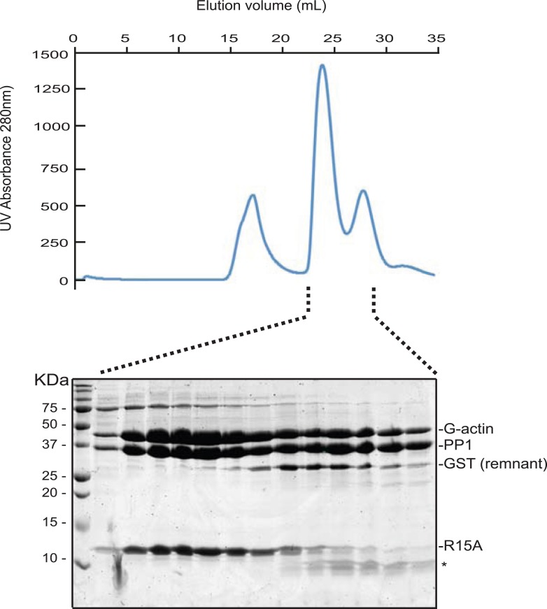 Figure 7—figure supplement 1.