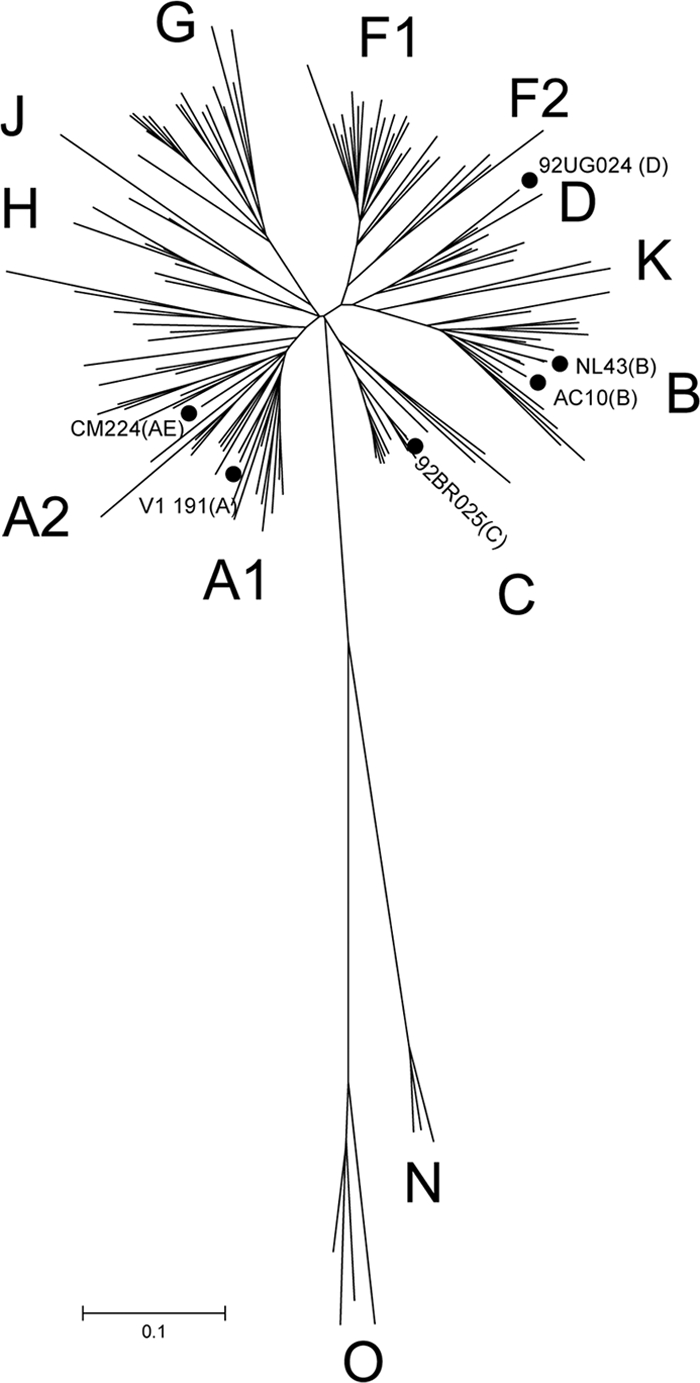 Fig. 1.