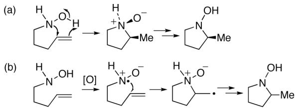 Scheme 3