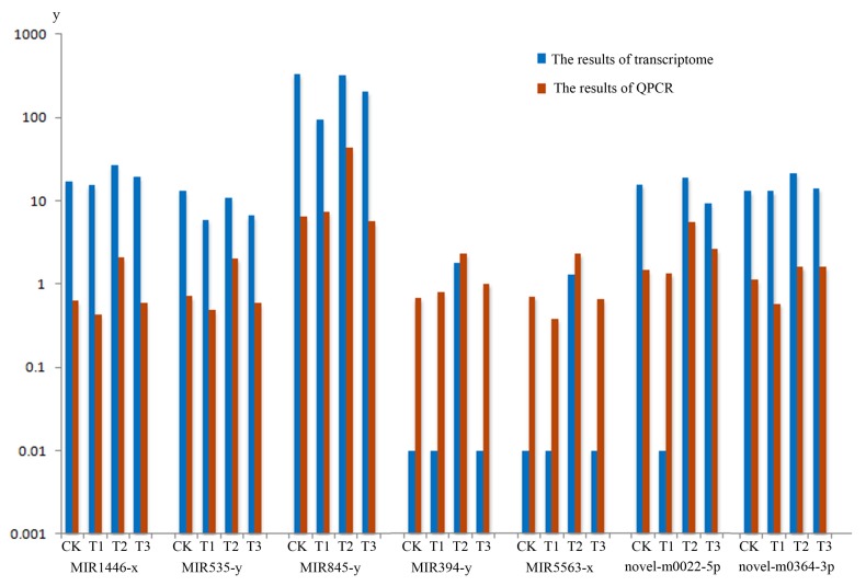 Figure 6