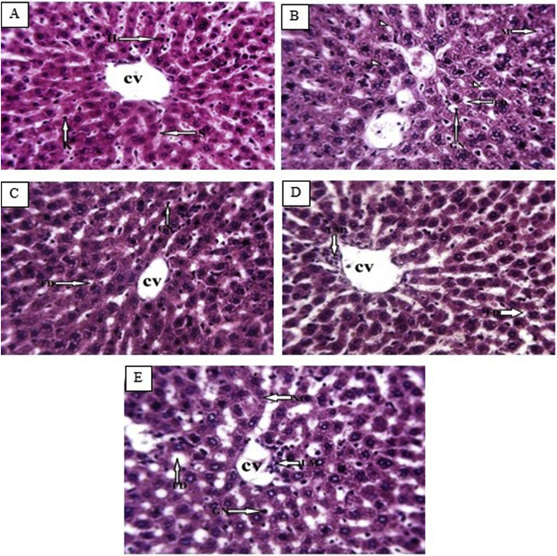 Figure 1