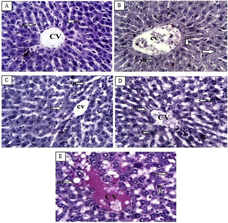 Figure 2