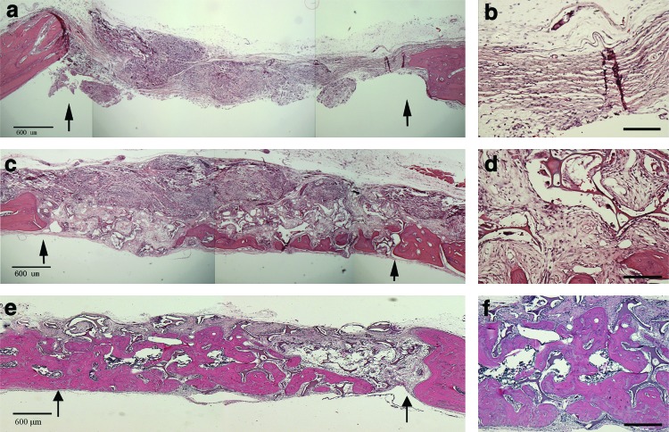 FIG. 11.