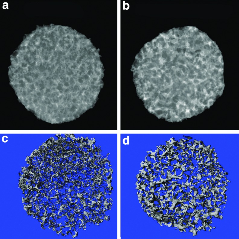 FIG. 8.