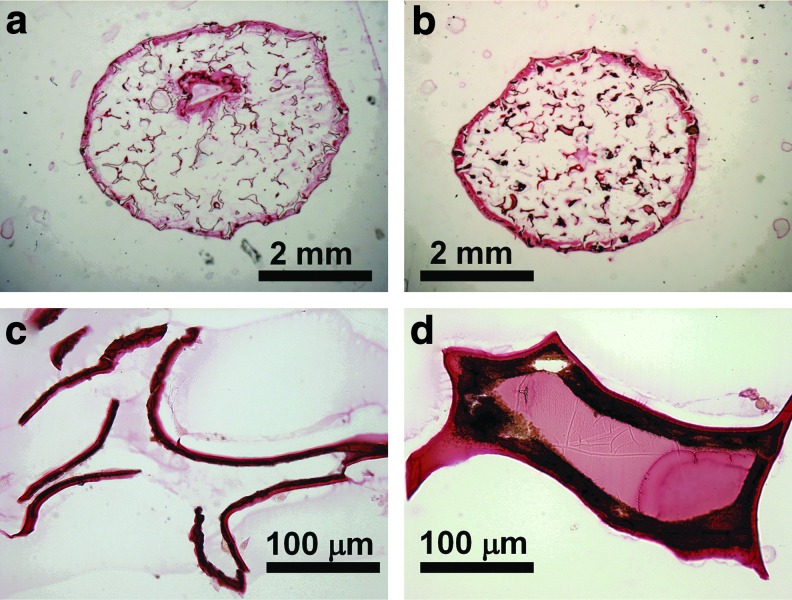 FIG. 6.