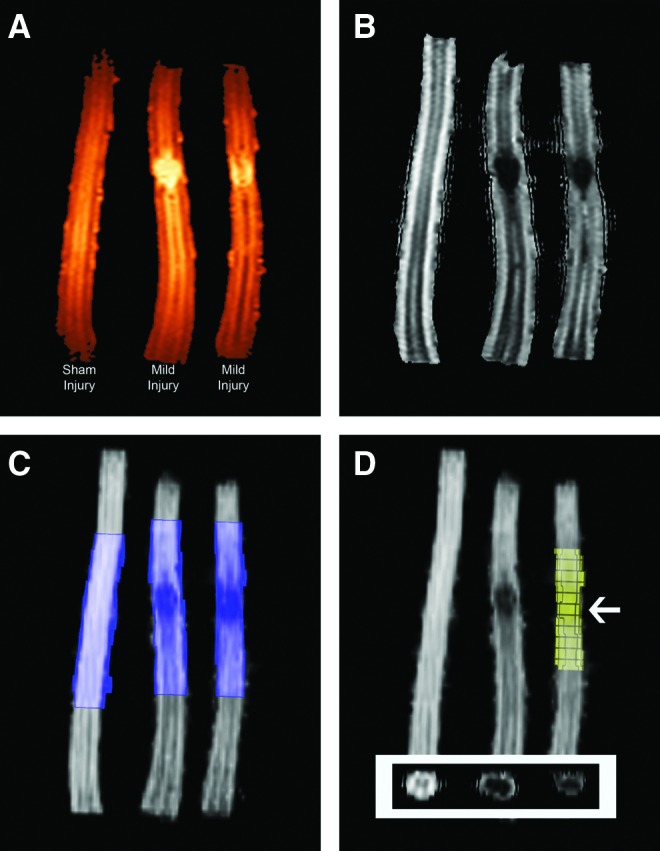 FIG. 3.