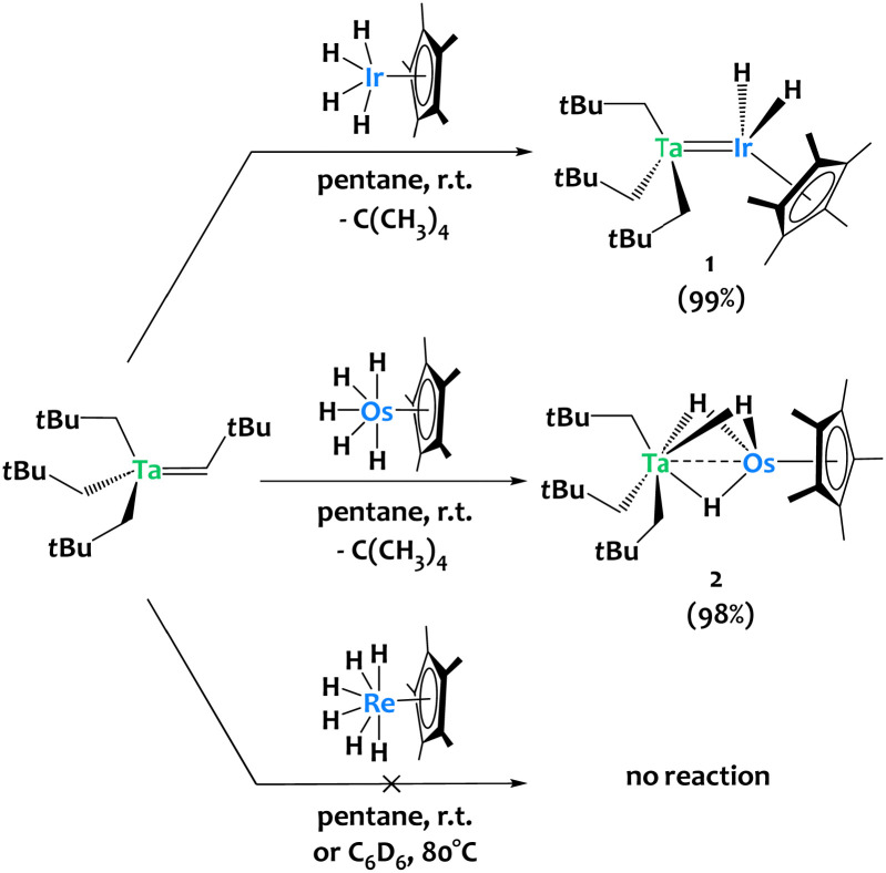 Scheme 2