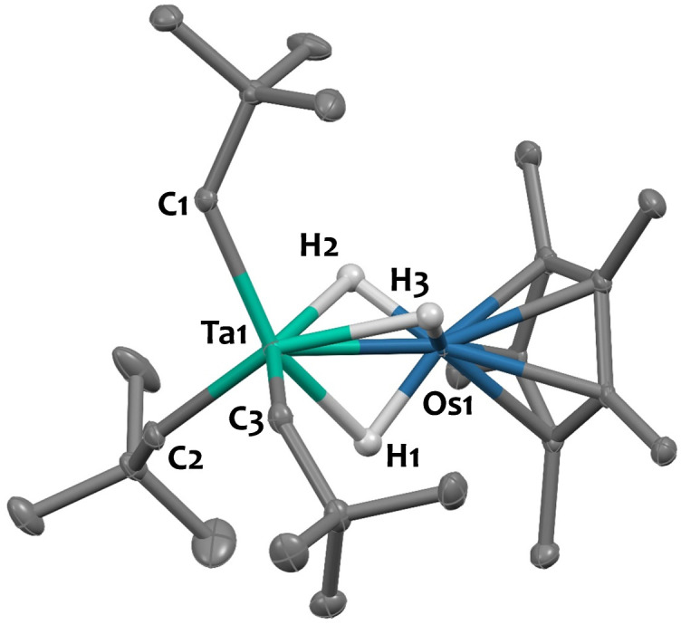 Fig. 1