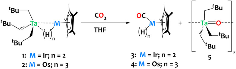 Scheme 3