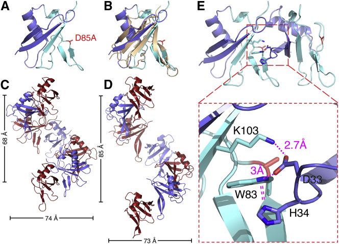 Figure 4