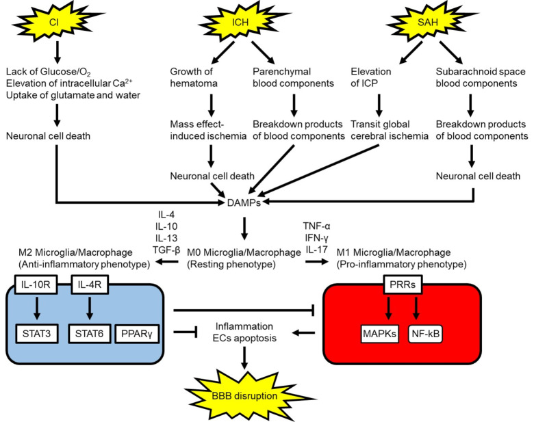 Fig. (5)