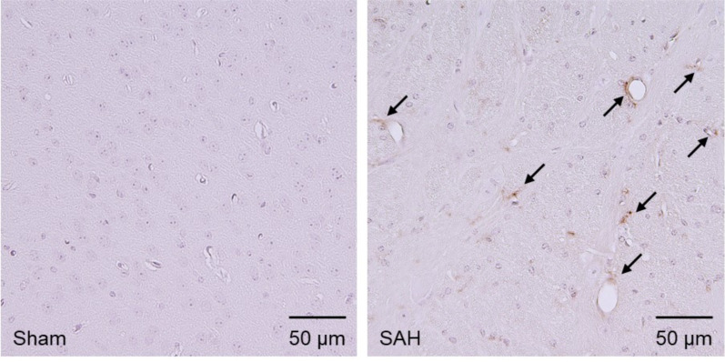 Fig. (4)