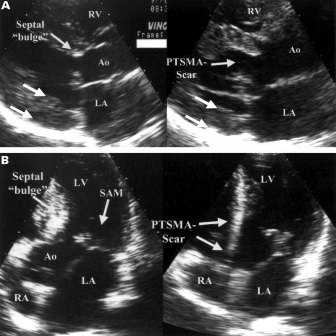 Figure 3  