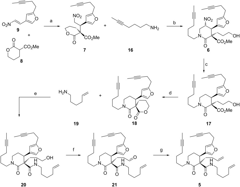 Scheme 2