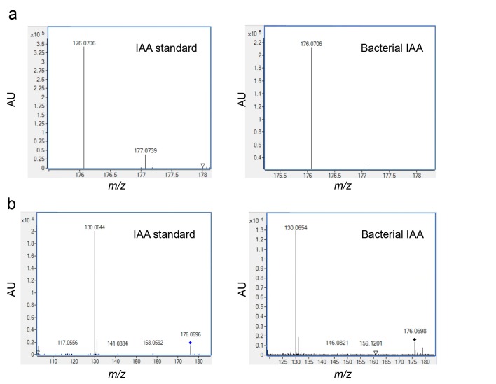 Figure 4—figure supplement 1.