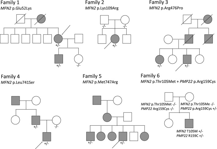 JNS-12228-FIG-0002-b