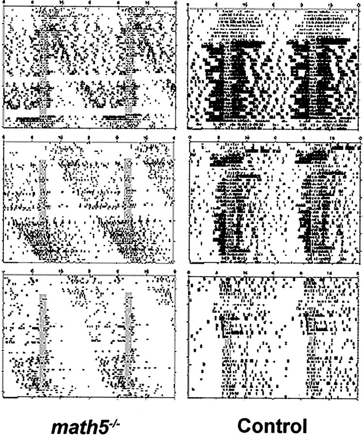 Fig. 5.