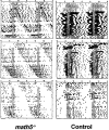 Fig. 5.