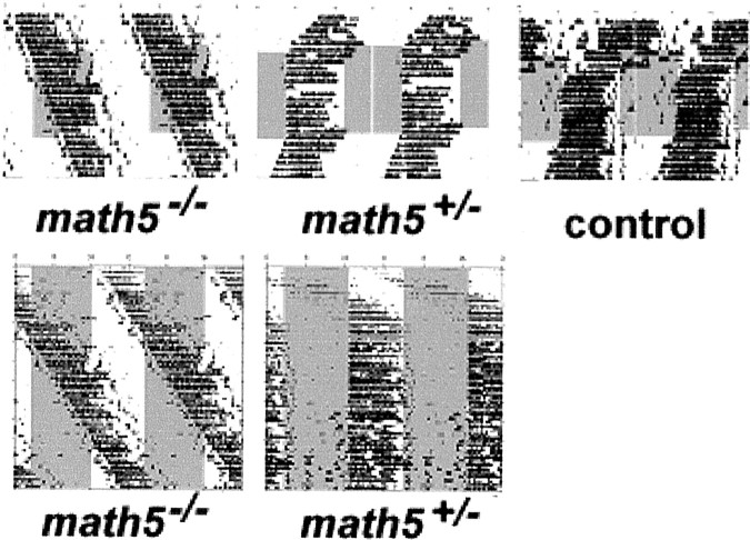 Fig. 3.