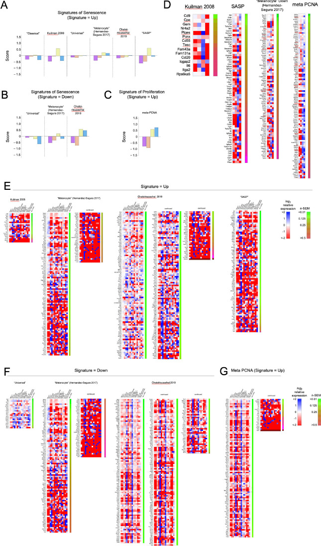 Figure 3—figure supplement 1.