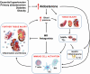 Graphical Abstract