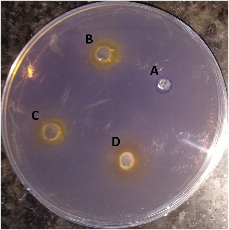 Fig. 3