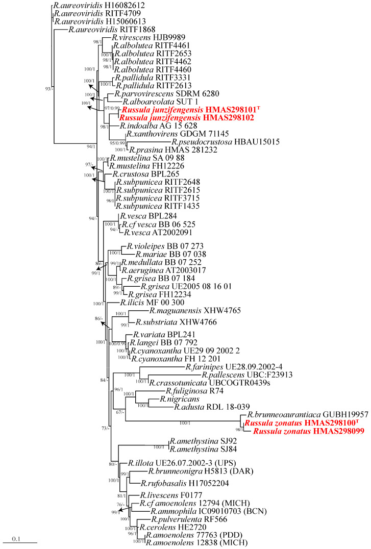 Figure 2