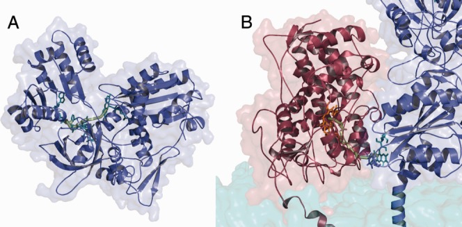 Figure 7