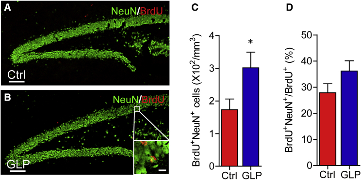 Figure 2