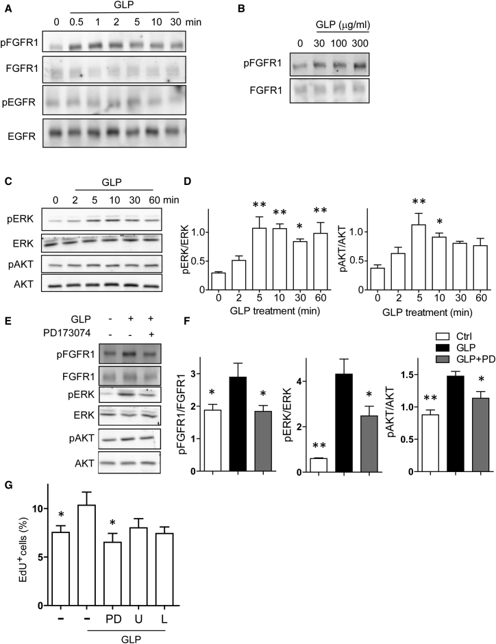 Figure 5