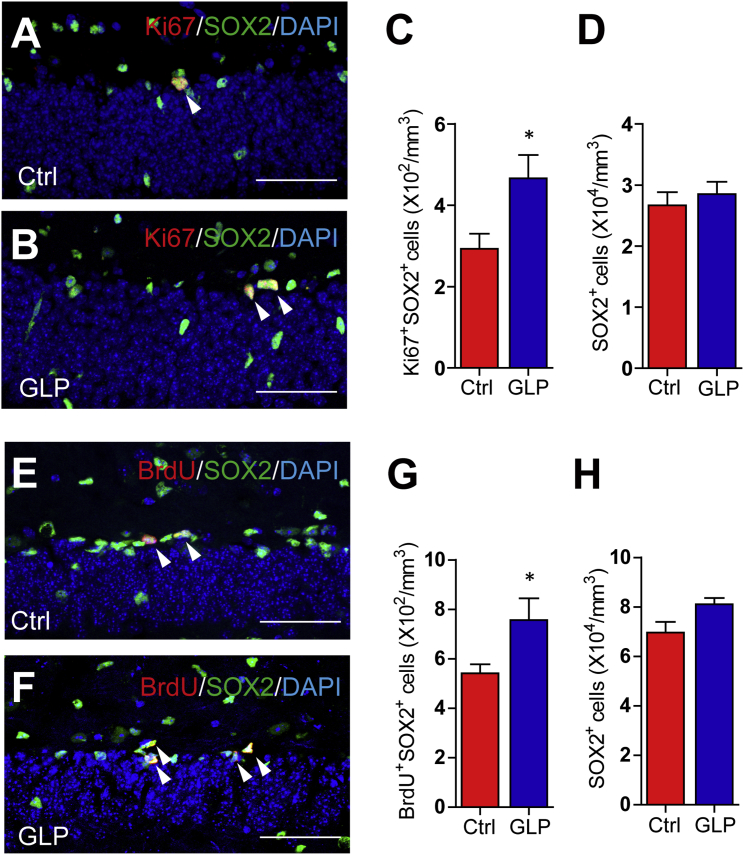 Figure 3