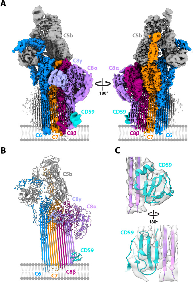 Fig. 2