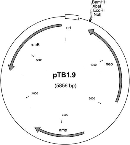 FIG. 5.