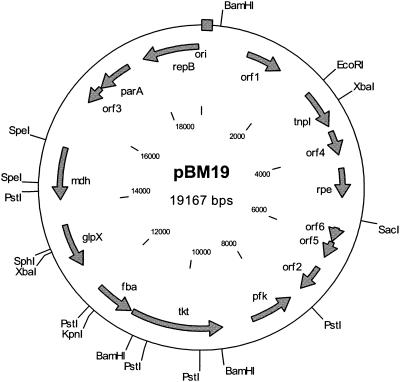 FIG. 2.