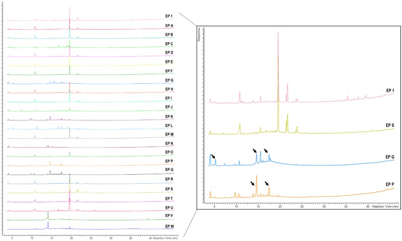 Figure 7.