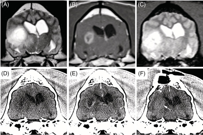 FIGURE 2