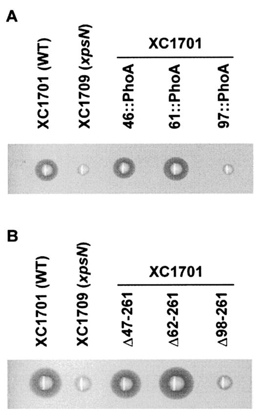 FIG. 5.