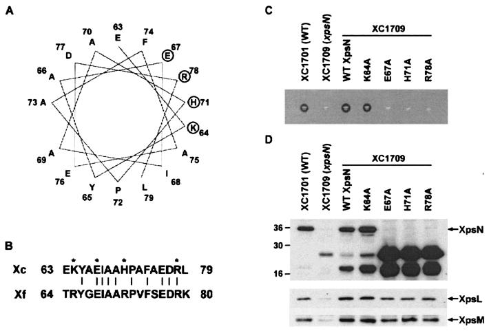 FIG. 6.