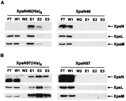 FIG. 4.