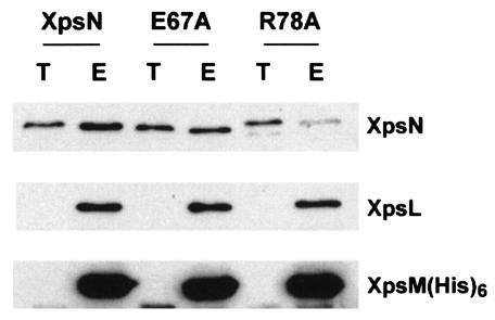 FIG. 7.