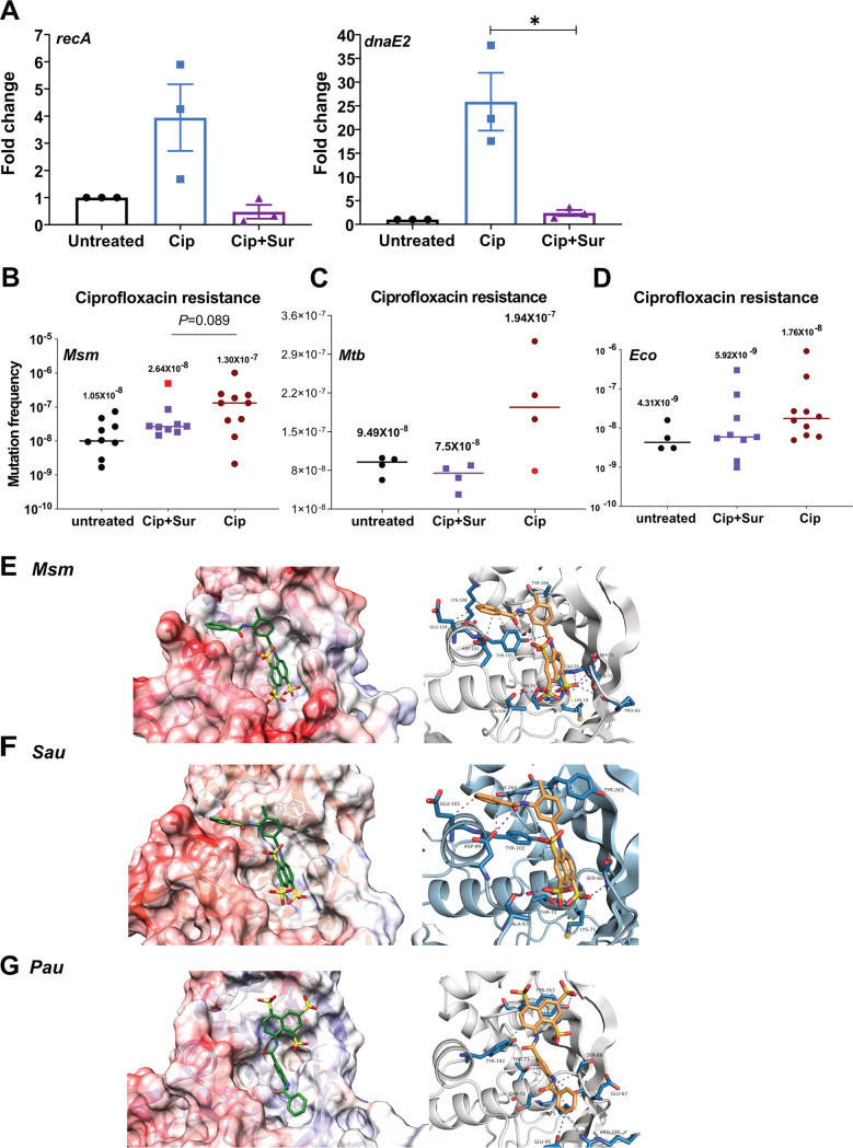 FIG 6