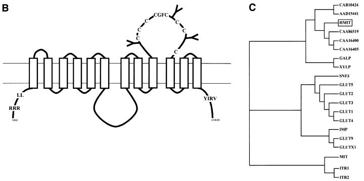 graphic file with name cde442f1b.jpg