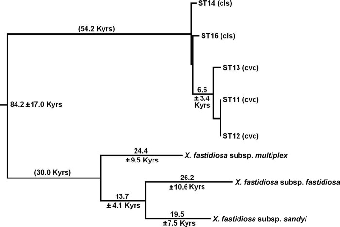 Fig 4